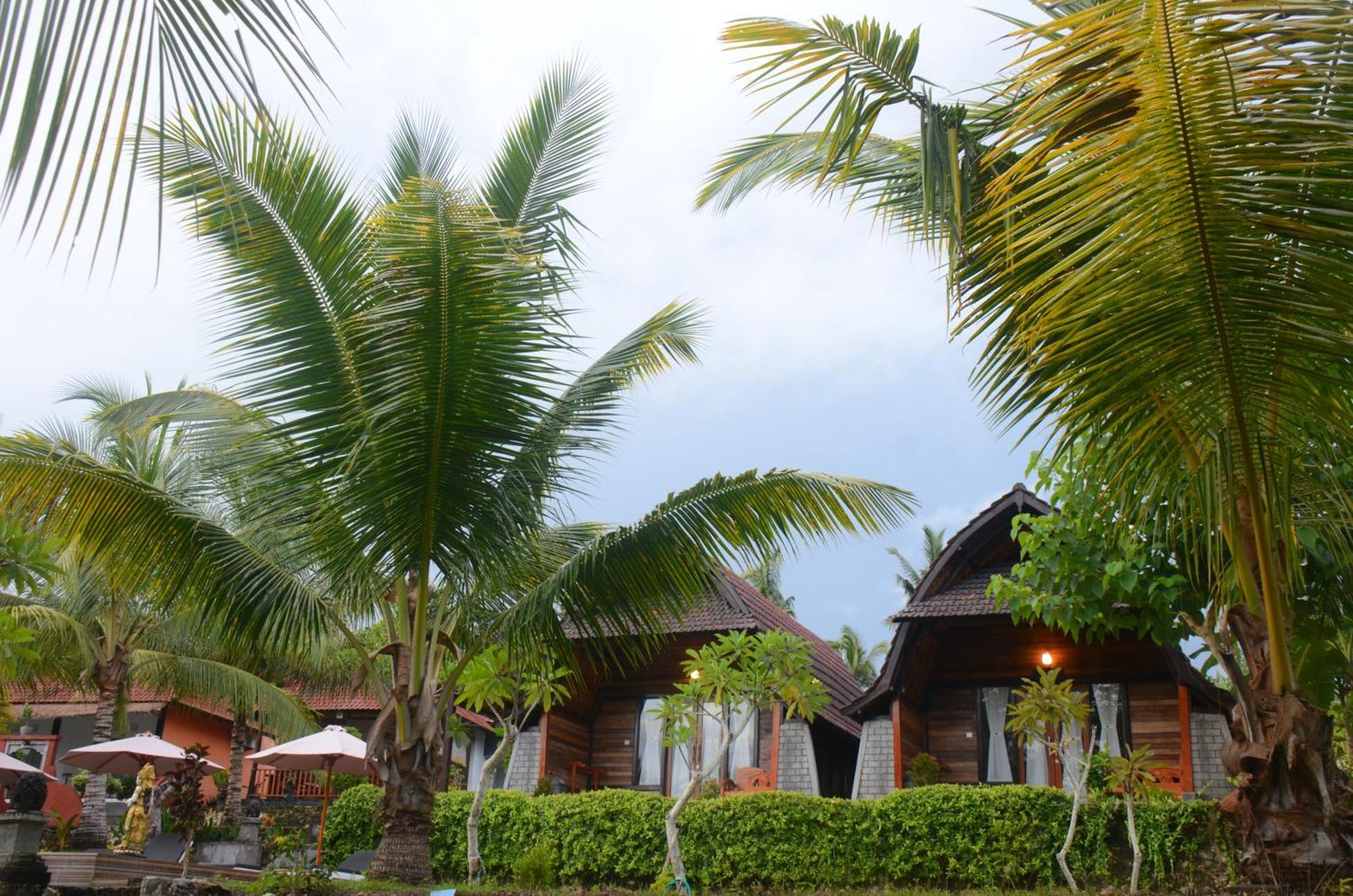 Mamaras Guest House Sakti Dış mekan fotoğraf